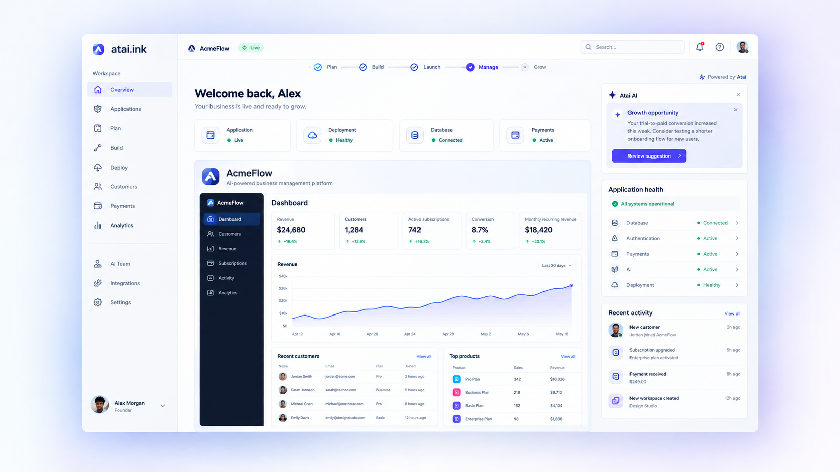 Atai founder workspace with overview, team, and AI collaboration